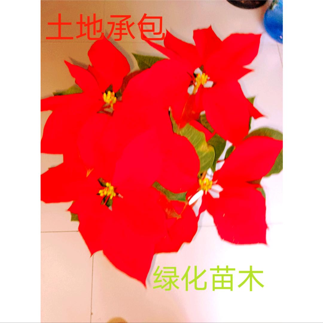 努力实现梦想农业服务平台