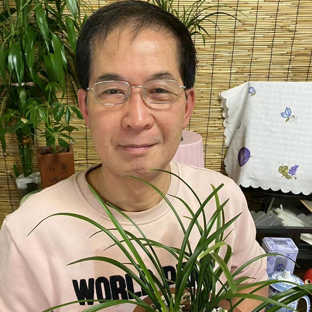 兰花怎么养