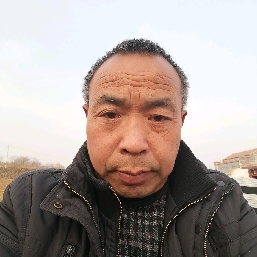 向往生活