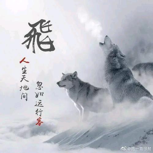 我就是我，