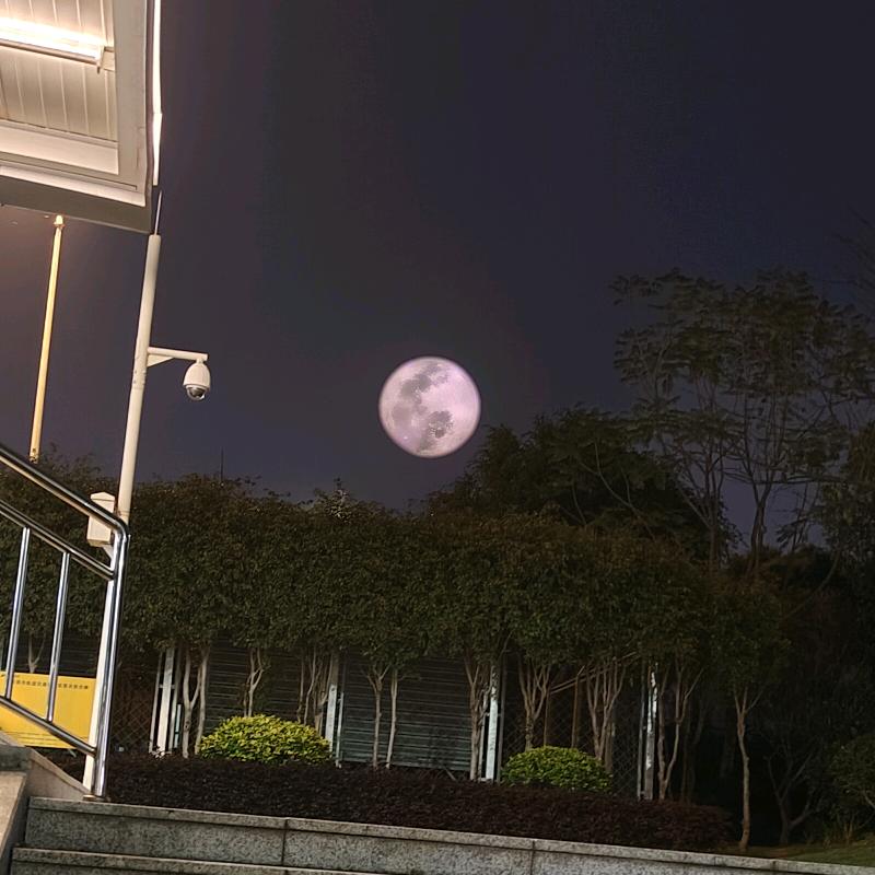业余爱好