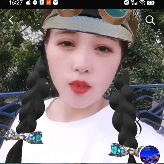 燕子(◦˙▽˙◦)