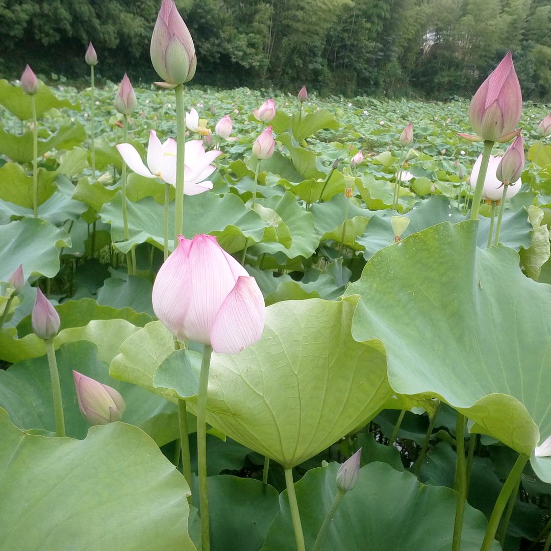 小汐汐