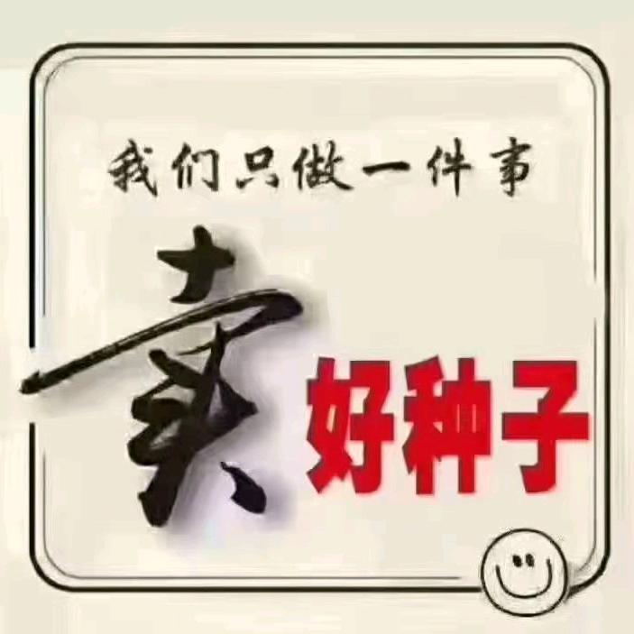 冀州佳萱