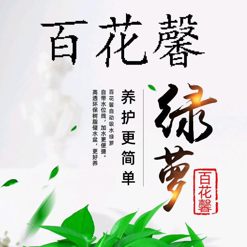 百花馨绿植旗舰店