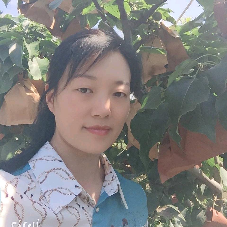 龙华电信