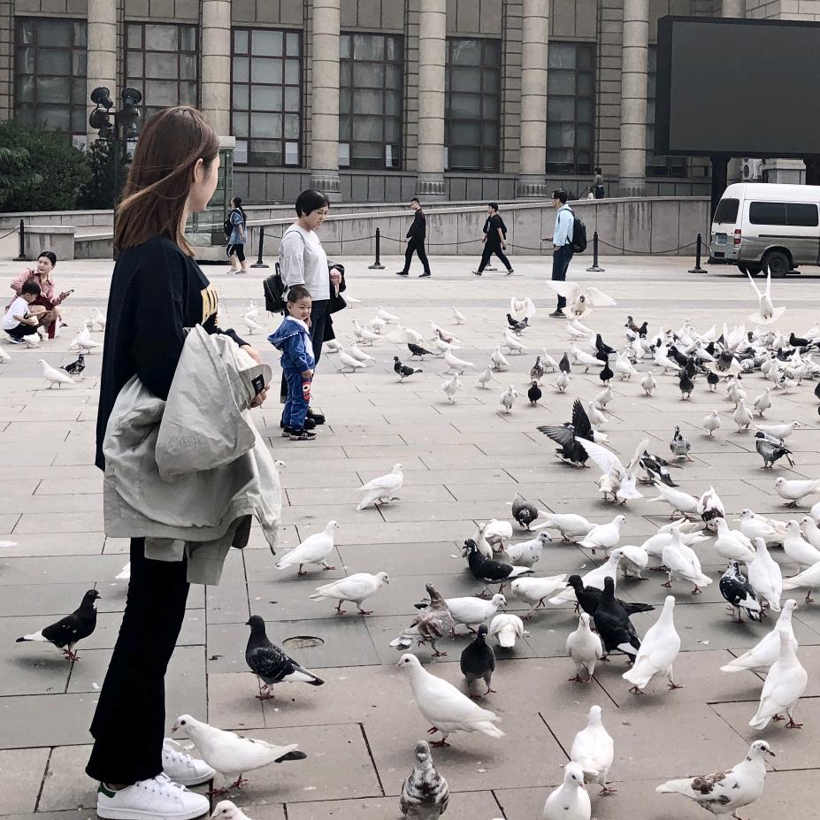 张张.