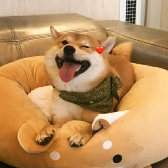 汤姆与杰瑞嘻嘻哈哈