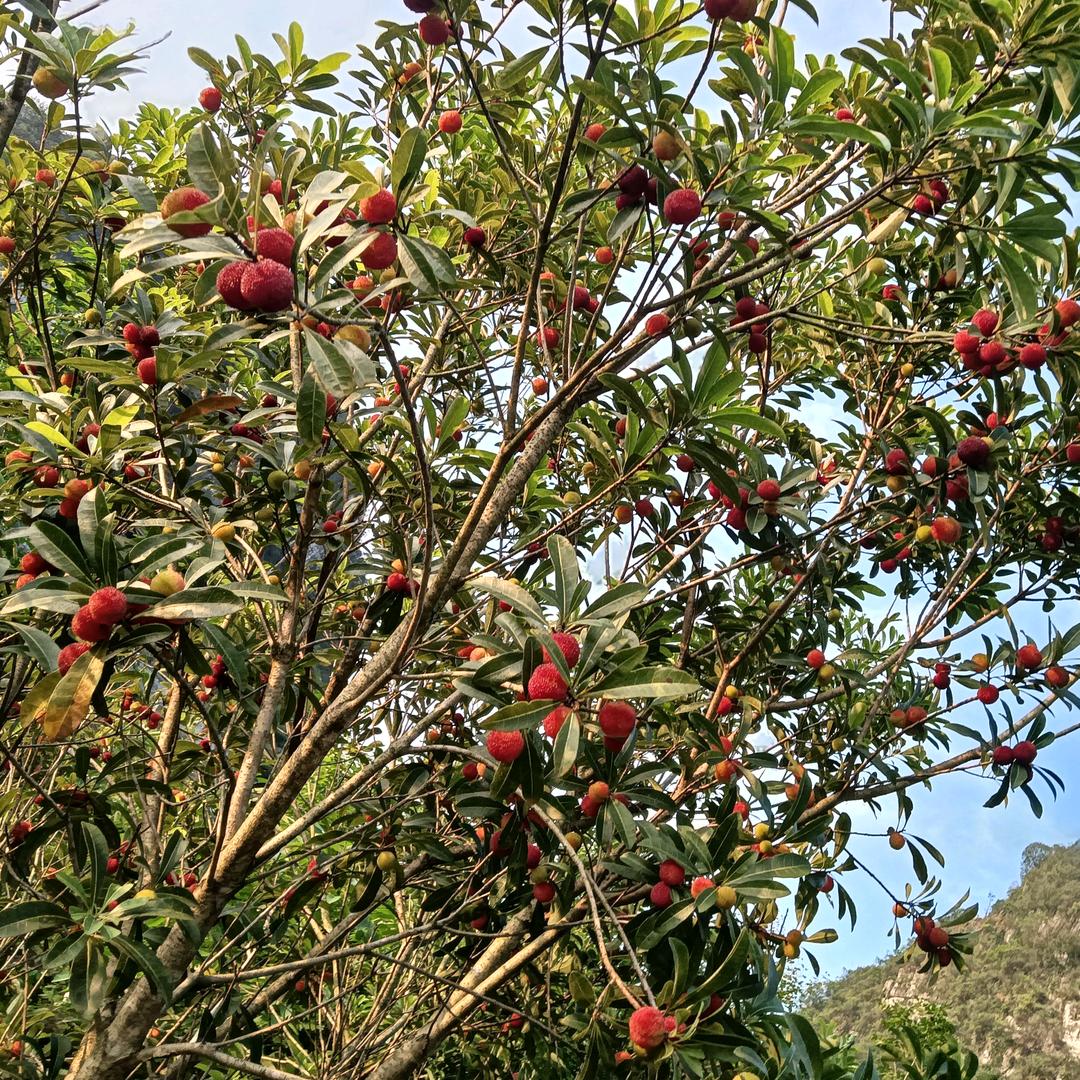 0104如果时间能倒流我不会放过你。