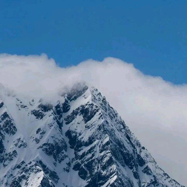 喜气洋洋🌻头像