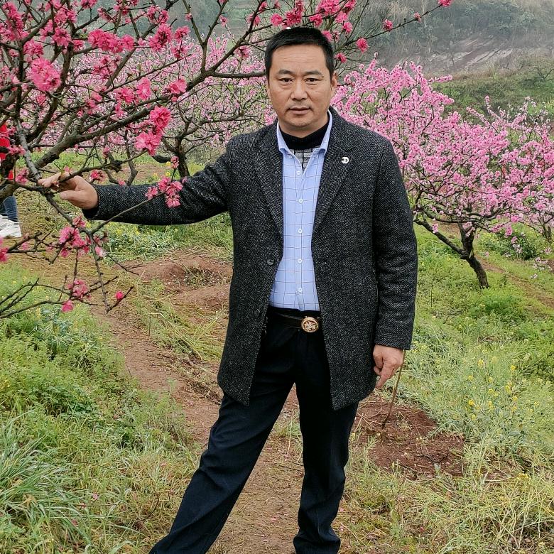 重庆平哥