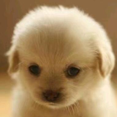 魂牵梦萦、小漂亮