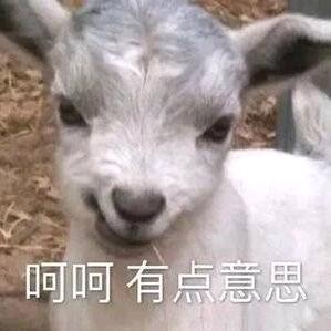 你说谁妮