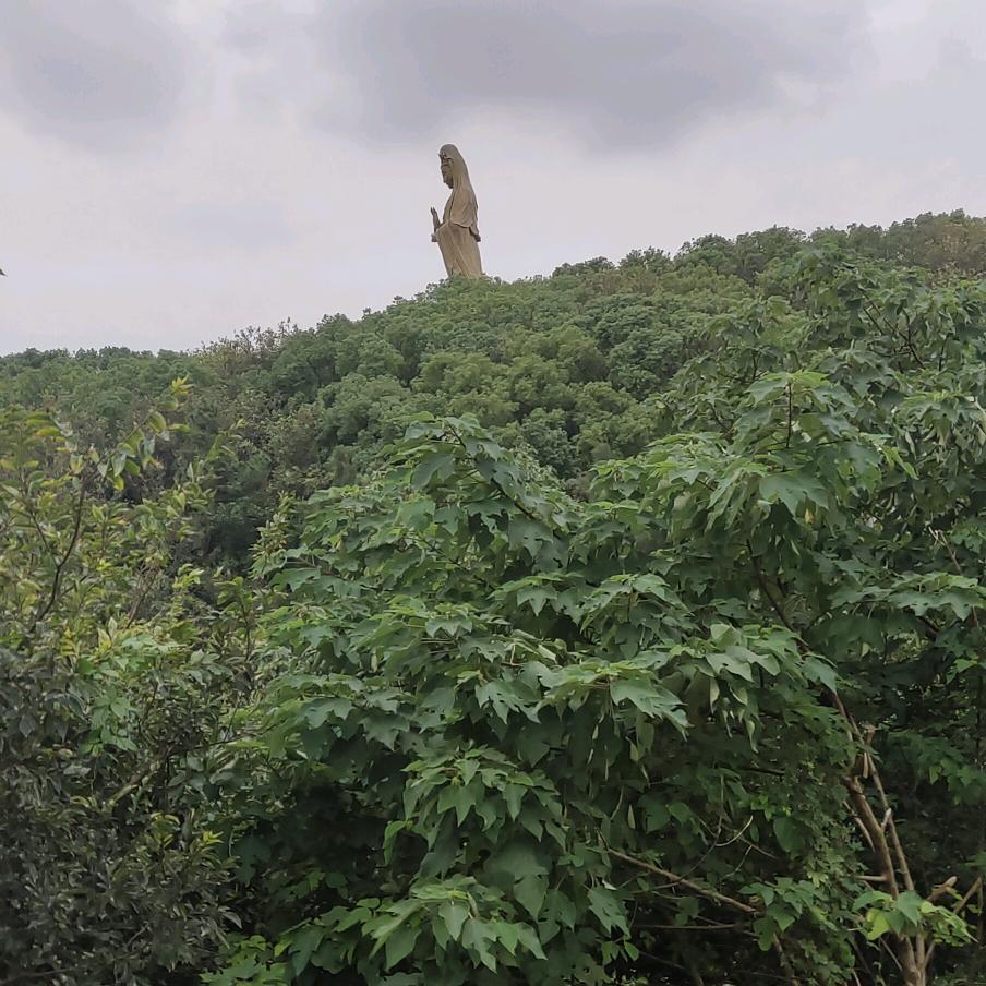 荣华富贵