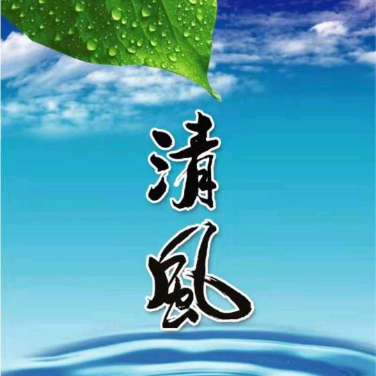青风浪子