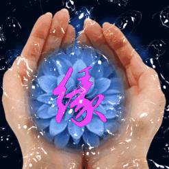 微笑清尘