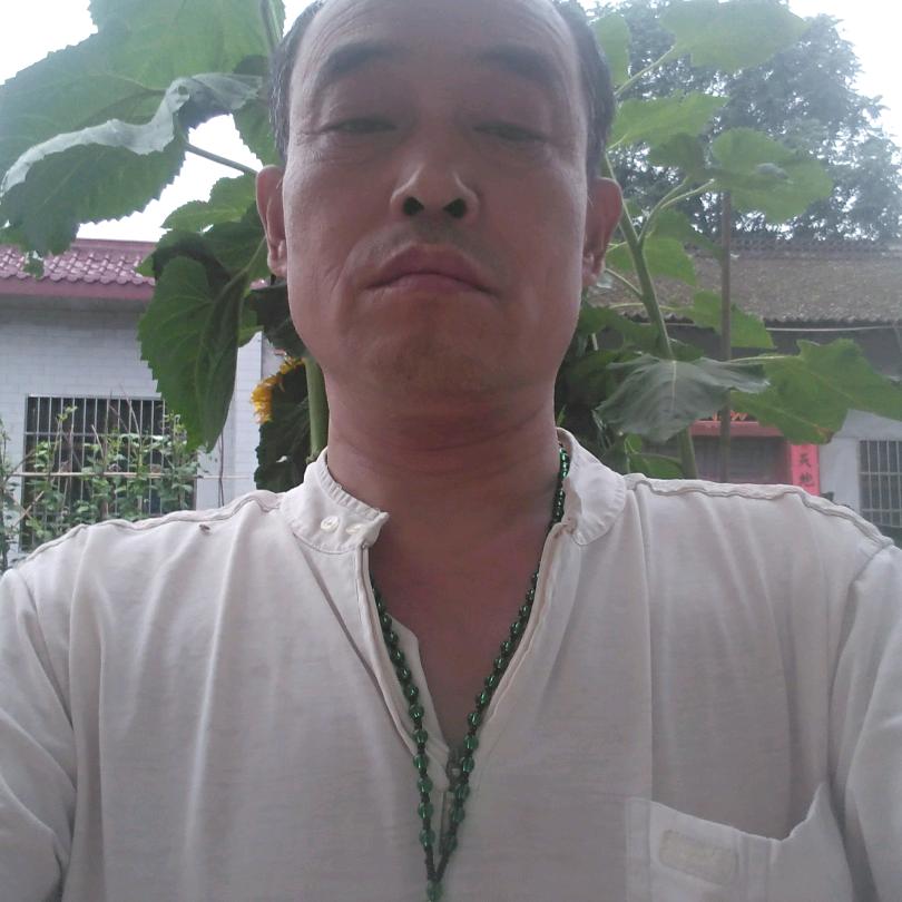大漠雄鹰