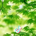 山清水秀
