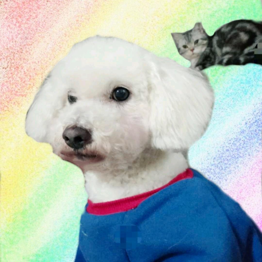 多多多妹儿