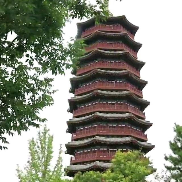 杜伟