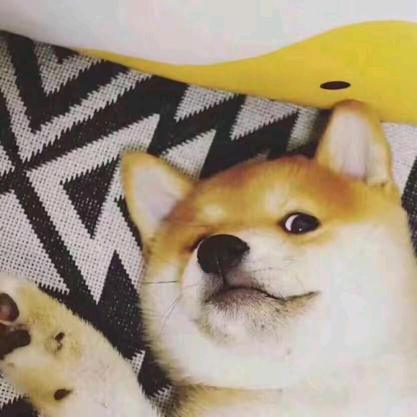 白熊