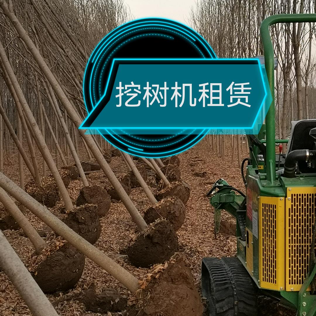 好马克挖树机（全国挖树服务）连赞拉黑