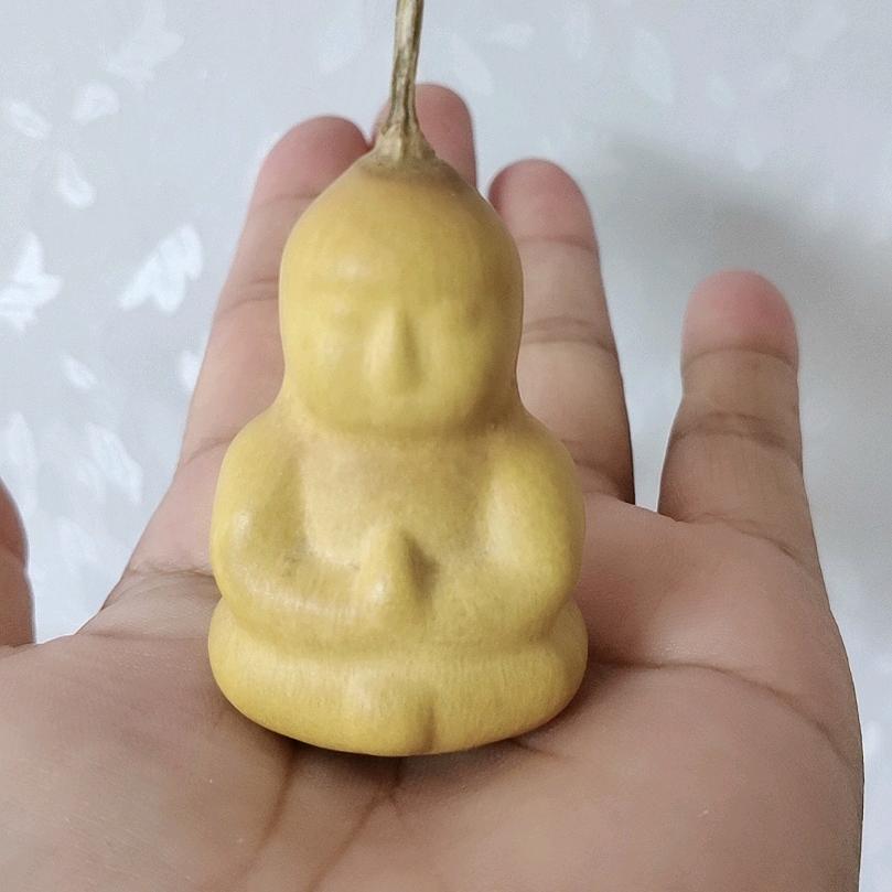 吴姐《雄东银缘公益红娘》