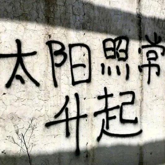 董晓芳