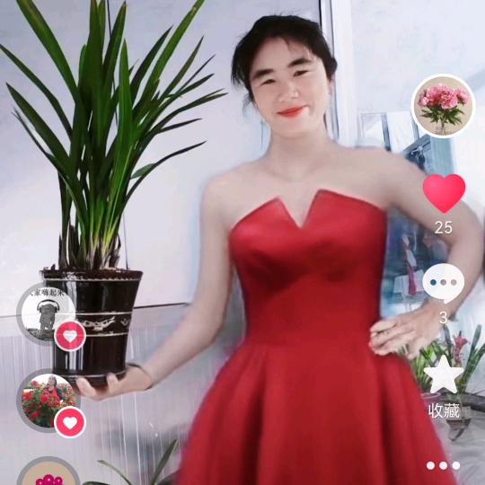 云南二姐在山东