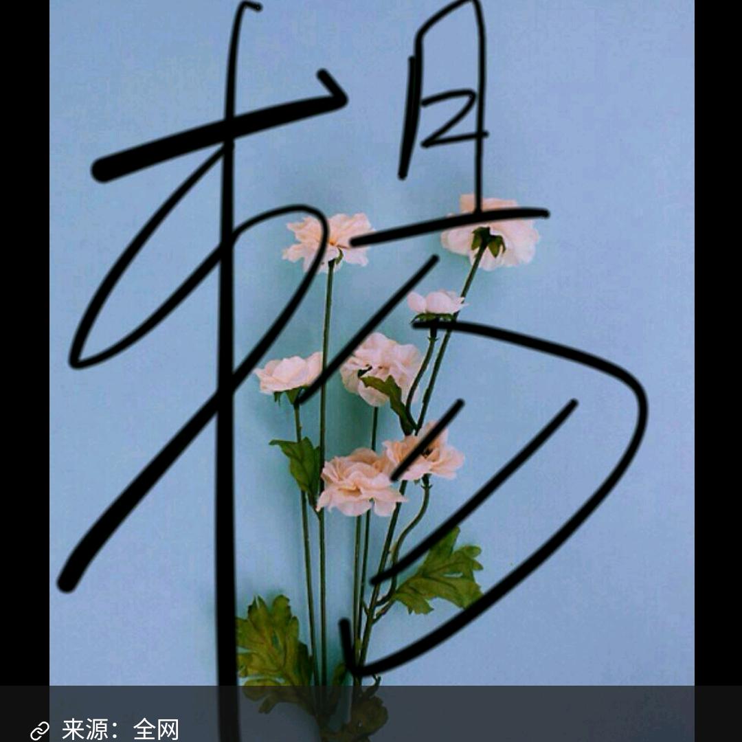 雨中百合