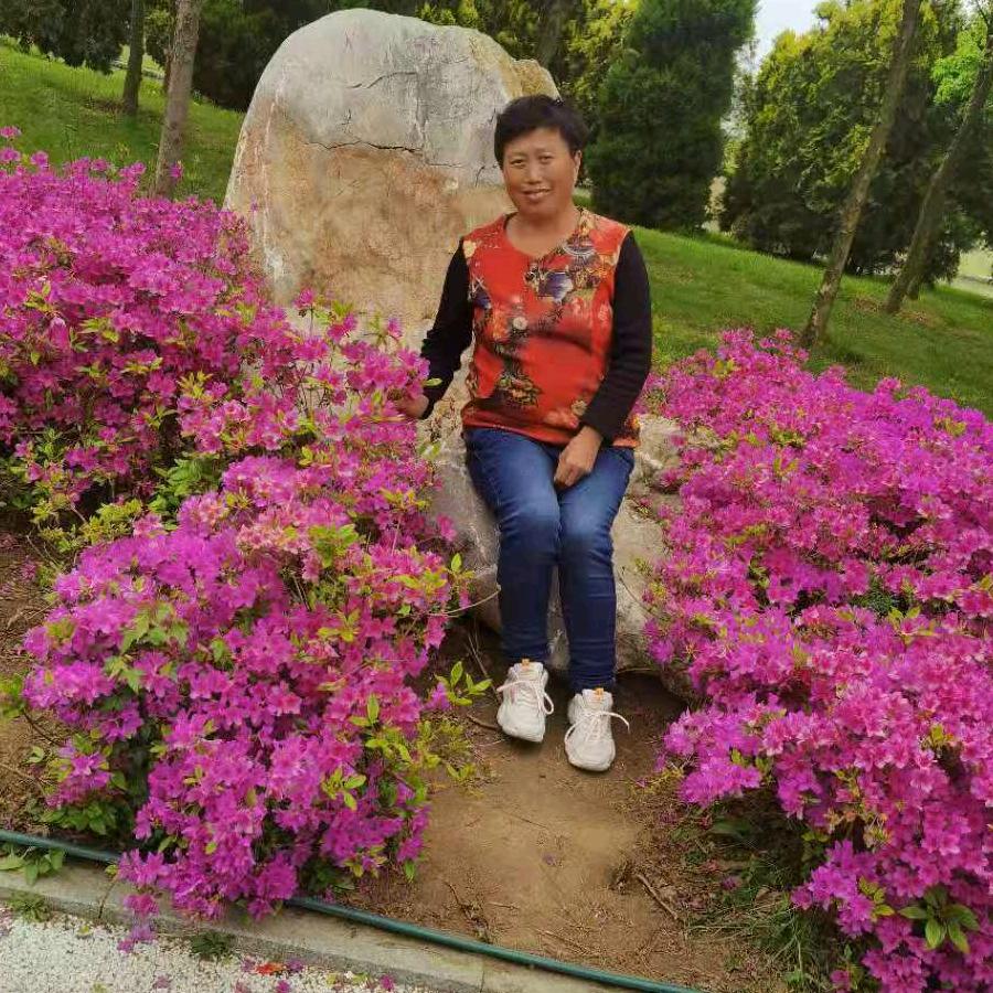 老李的幸福生活