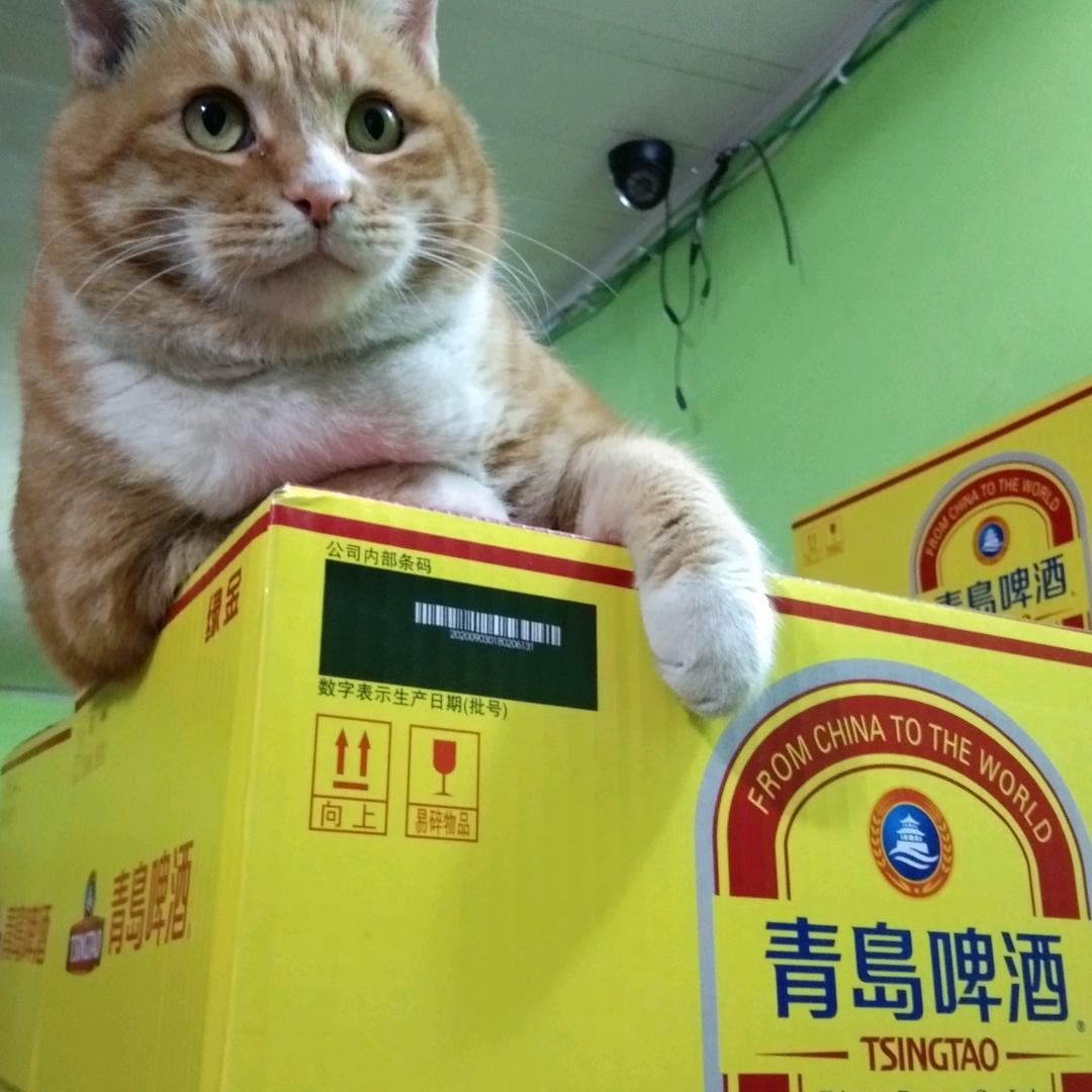二小姐