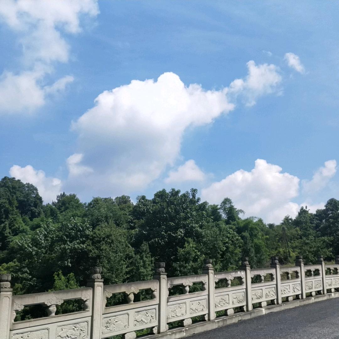 五哥