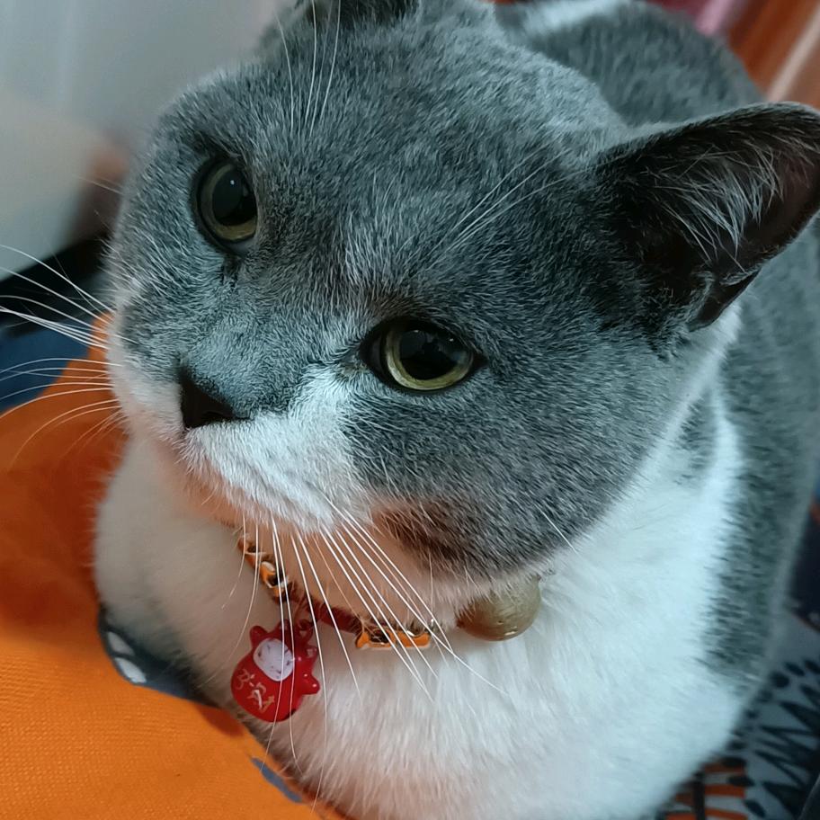 叶锦美甲美睫店