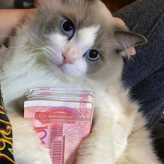 文东
