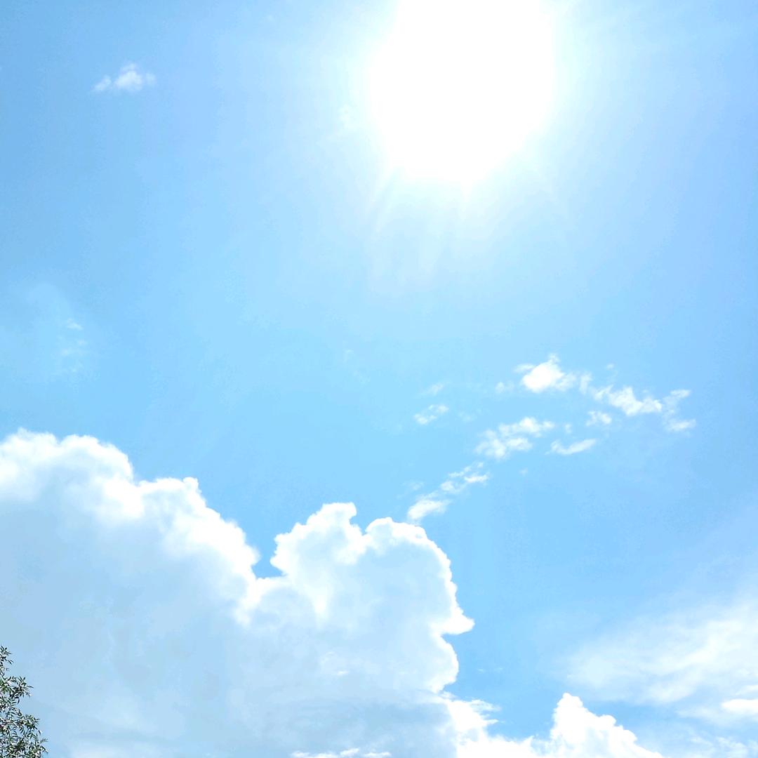追风追忆