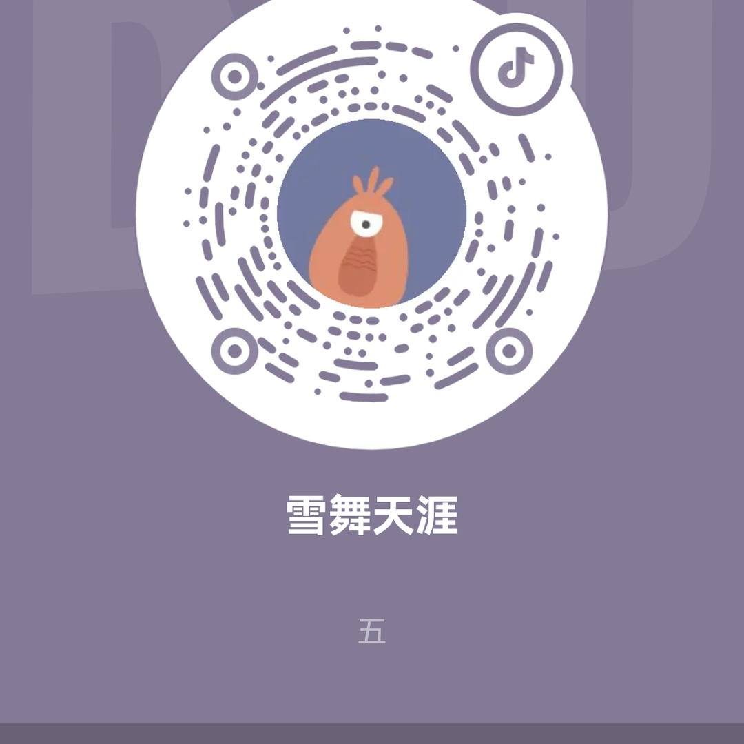 雪舞天涯