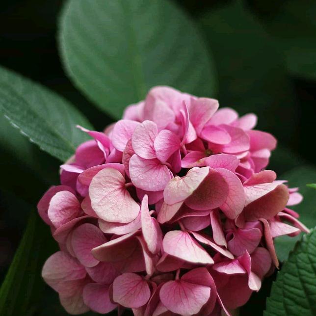 阜宁玉姐（房产）