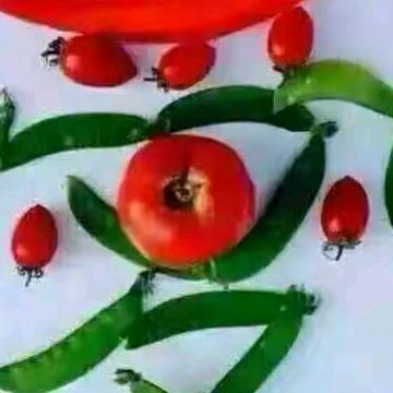 谁是我的小主角