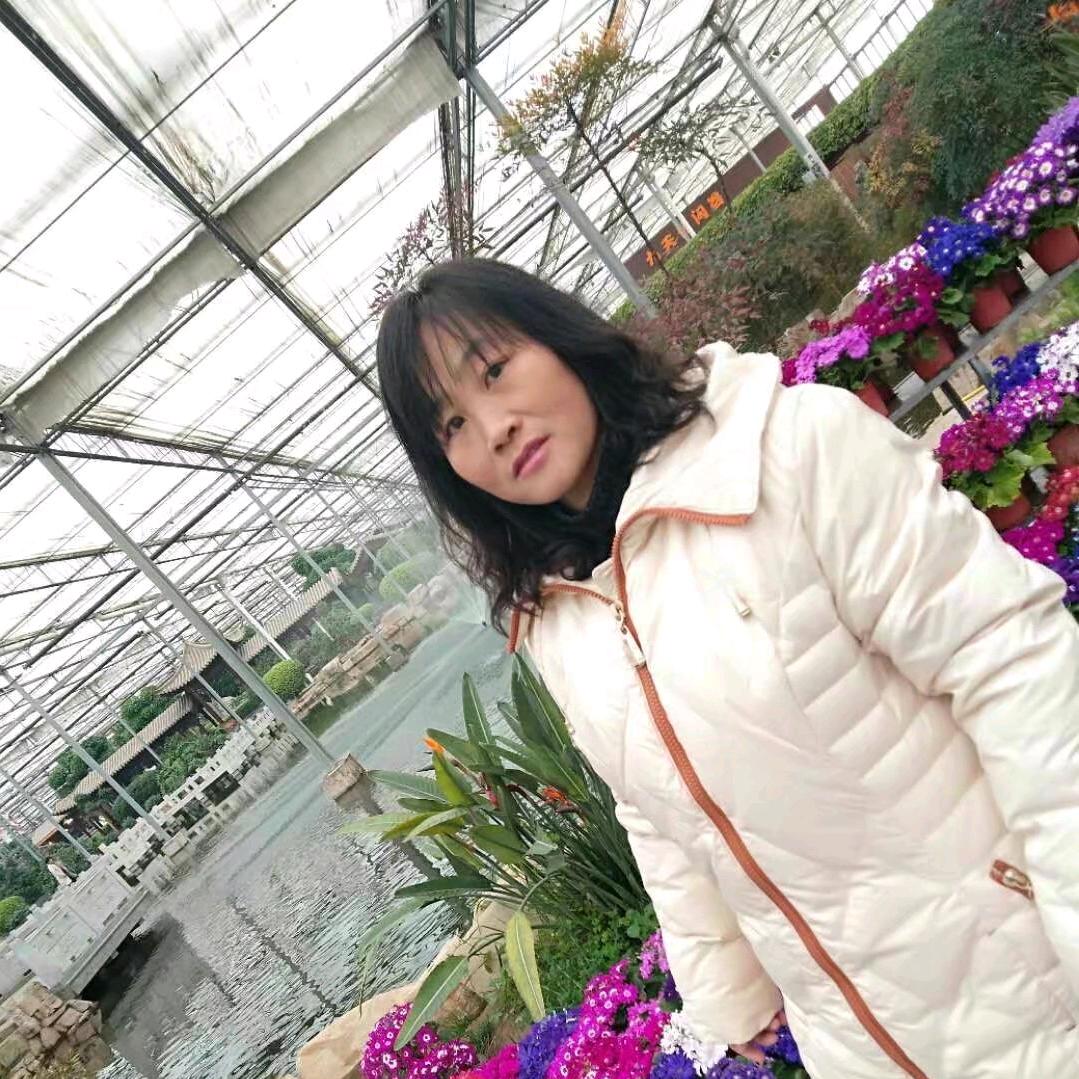 幸福女人小红，《我的日常生活》。