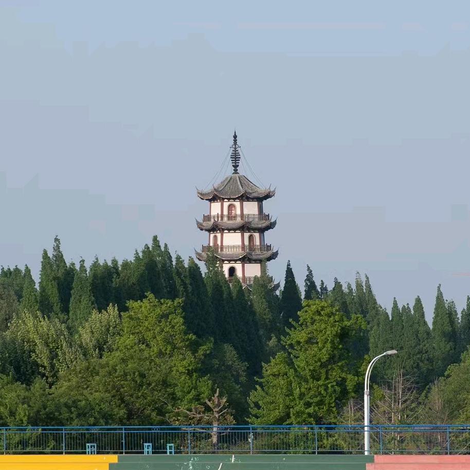云和山的彼端