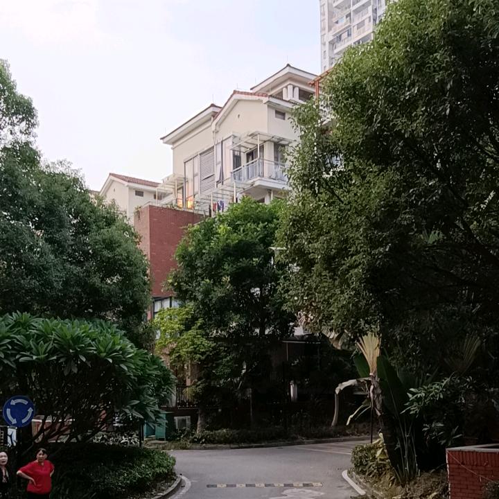 看过来