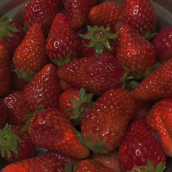澄澜.