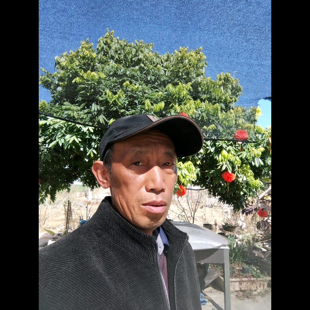 半夏