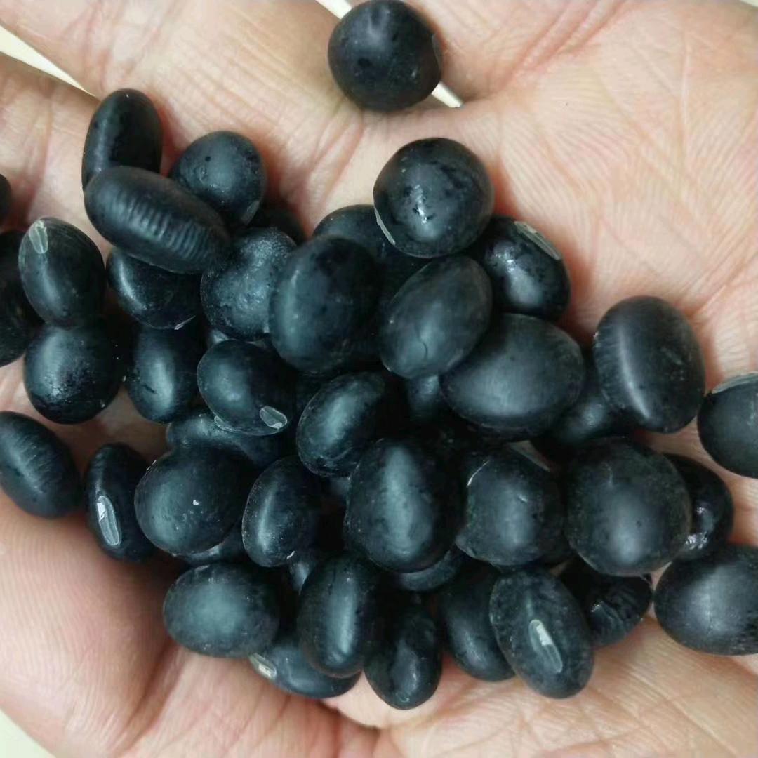 凤阳县小溪河镇灿灿黑豆经营部