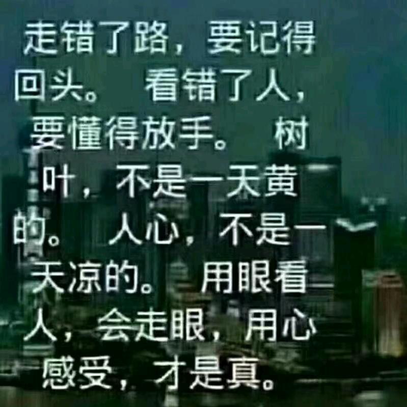 寒梅