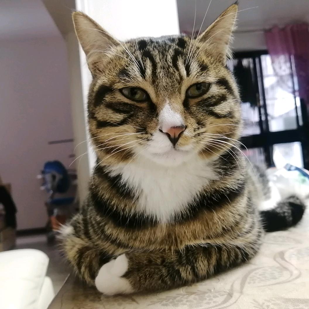 喜儿