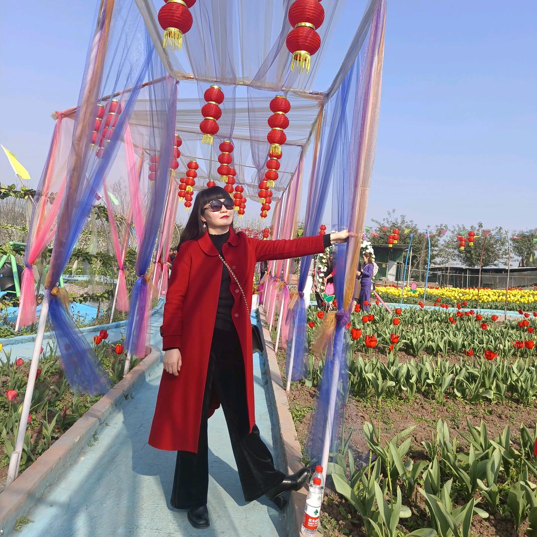 76年……11……2号