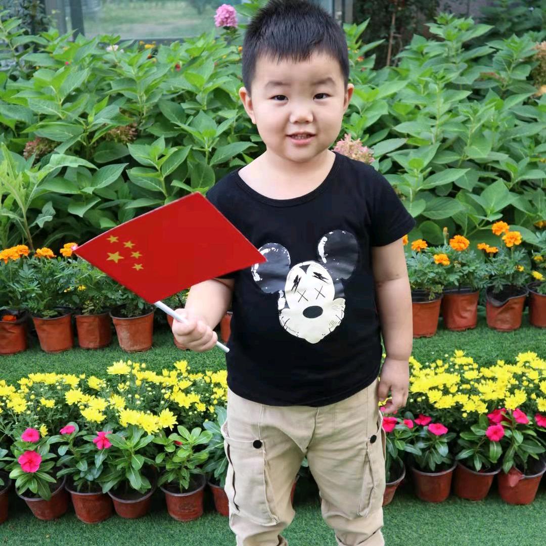 山东宏强电梯