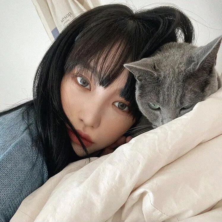 林祖伊